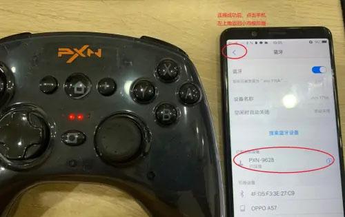 小鸡模拟器最新版2024下载,游戏模拟器,小鸡模拟器