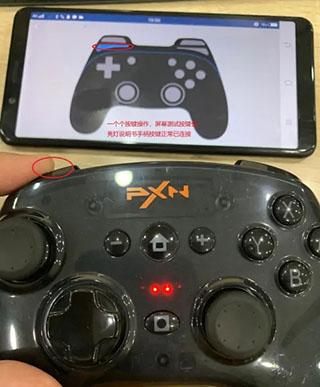 小鸡模拟器最新版2024下载,游戏模拟器,小鸡模拟器