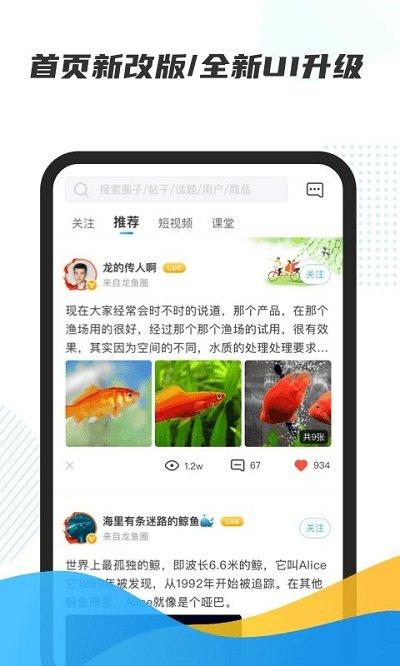 龙巅app下载,龙巅,养鱼app,社区app