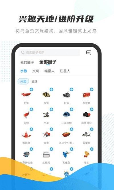 龙巅app下载,龙巅,养鱼app,社区app