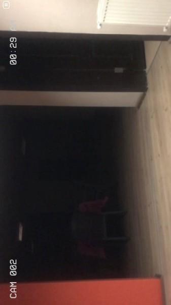超自然公司游戏(Paranormal Inc.)下载,超自然公司,恐怖游戏,探索游戏
