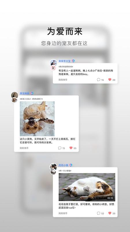 小它app下载,小它,宠物app,社区app