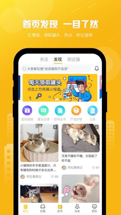 友猫软件下载,友猫,社交app,养猫app