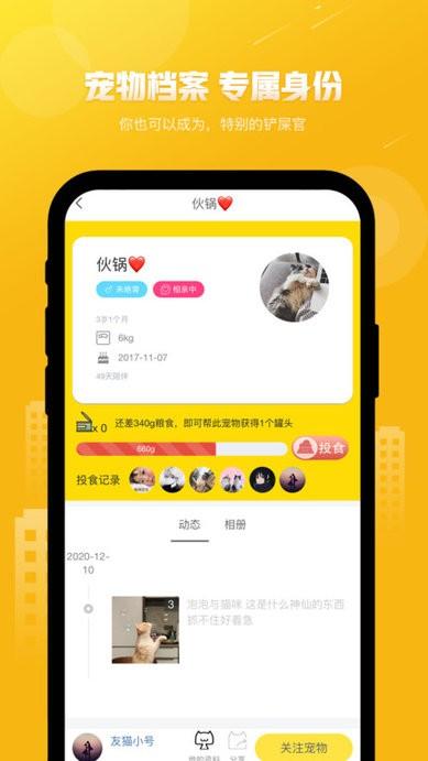 友猫软件下载,友猫,社交app,养猫app
